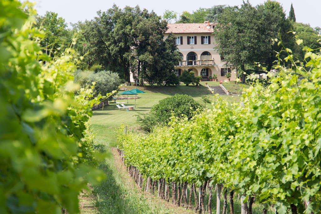 Villa Marani Rovolon Zewnętrze zdjęcie